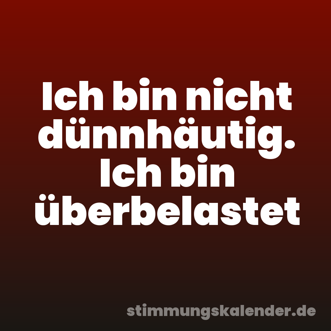 Ich bin nicht dünnhäutig. Ich bin überbelastet