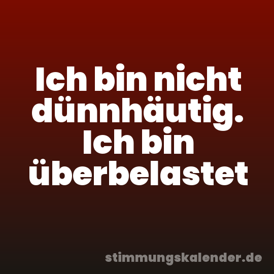 Ich bin nicht dünnhäutig. Ich bin überbelastet