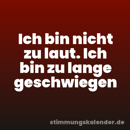 Ich bin nicht zu laut. Ich bin zu lange geschwiegen