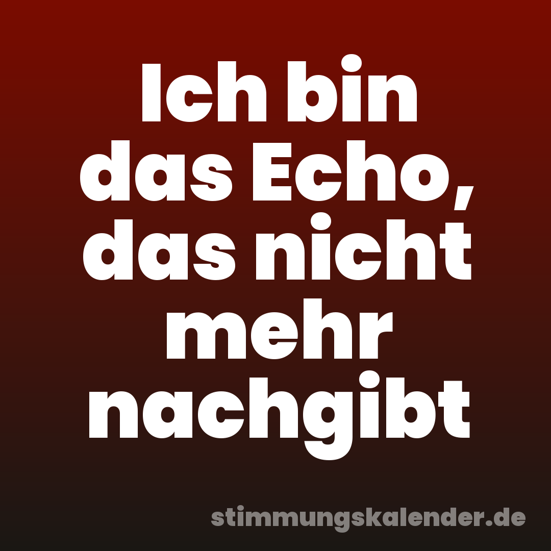 Ich bin das Echo, das nicht mehr nachgibt