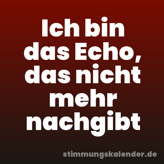 Ich bin das Echo, das nicht mehr nachgibt
