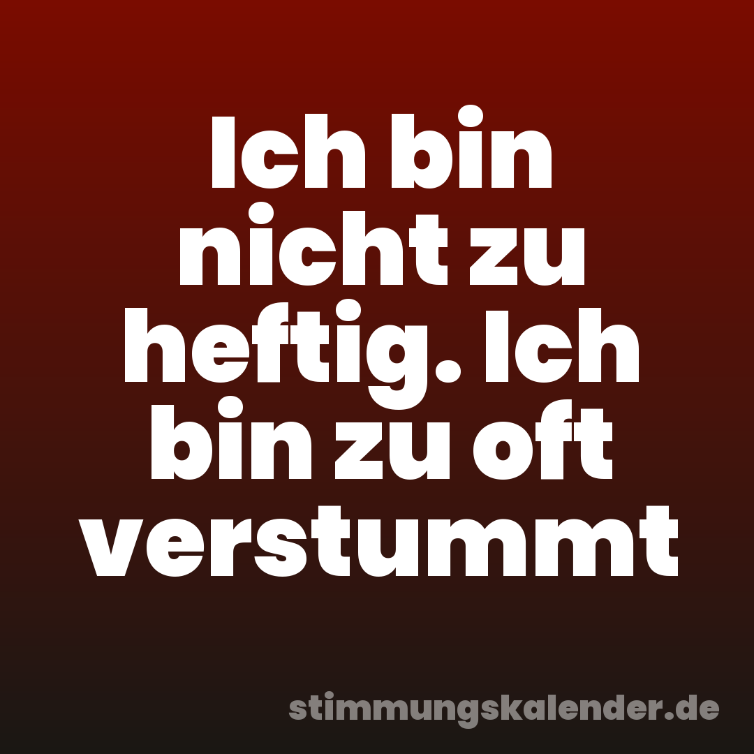 Ich bin nicht zu heftig. Ich bin zu oft verstummt