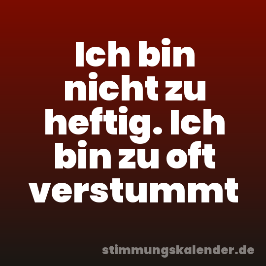 Ich bin nicht zu heftig. Ich bin zu oft verstummt