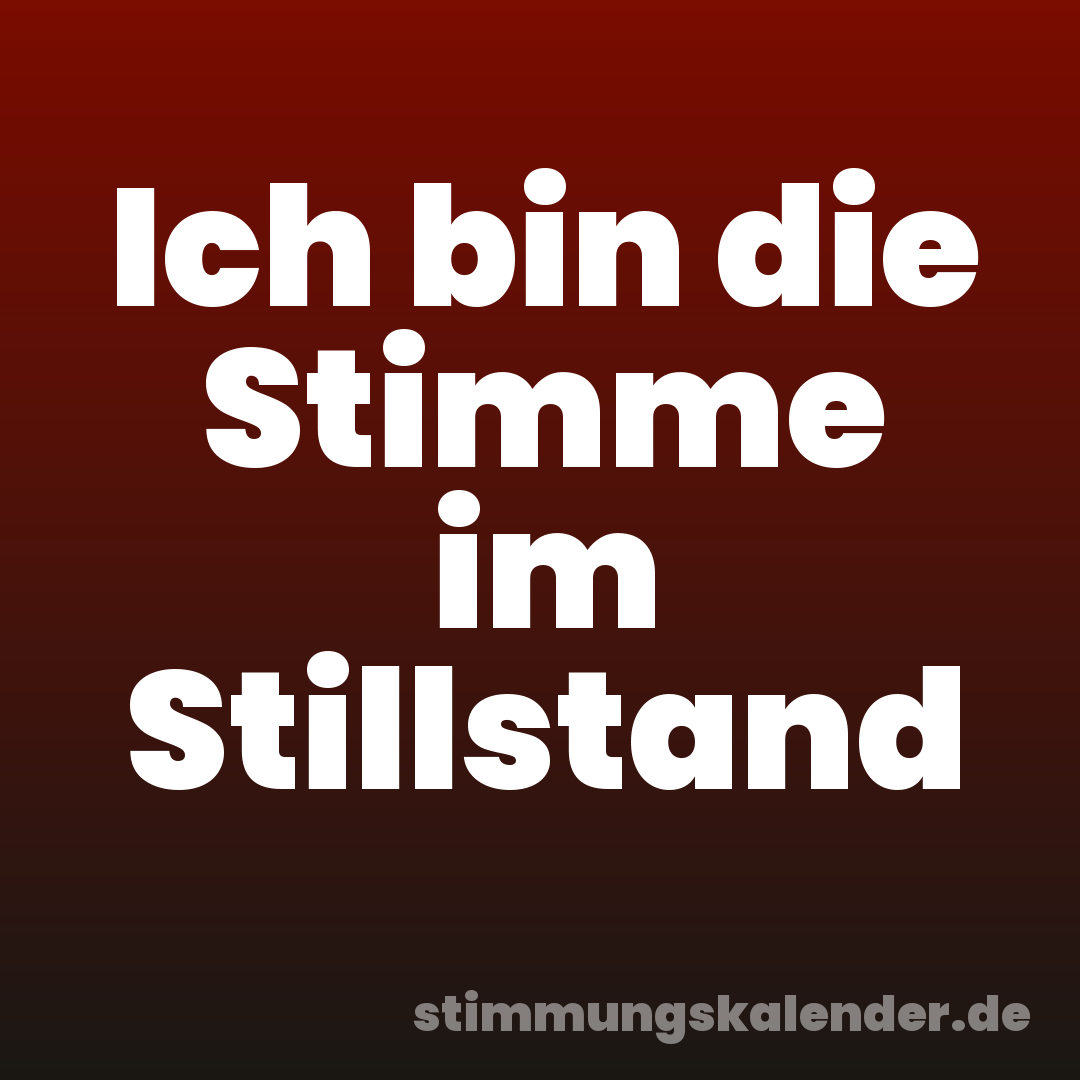 Ich bin die Stimme im Stillstand