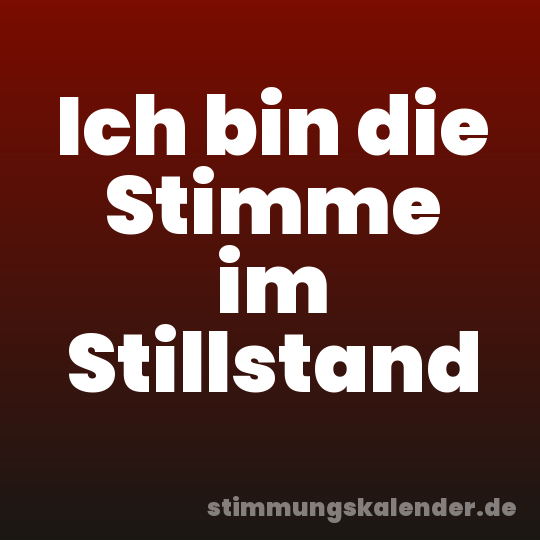 Ich bin die Stimme im Stillstand