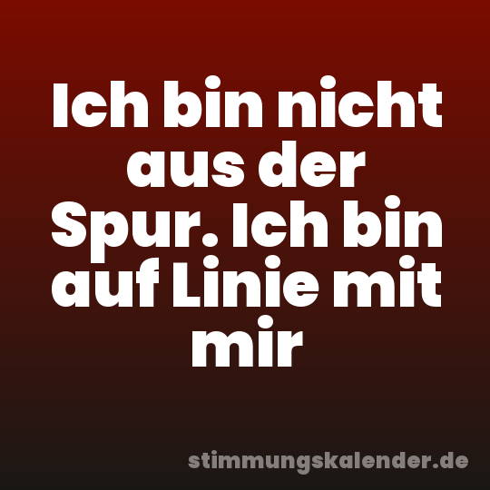 Ich bin nicht aus der Spur. Ich bin auf Linie mit mir