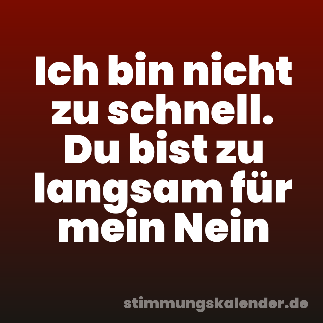 Ich bin nicht zu schnell. Du bist zu langsam für mein Nein