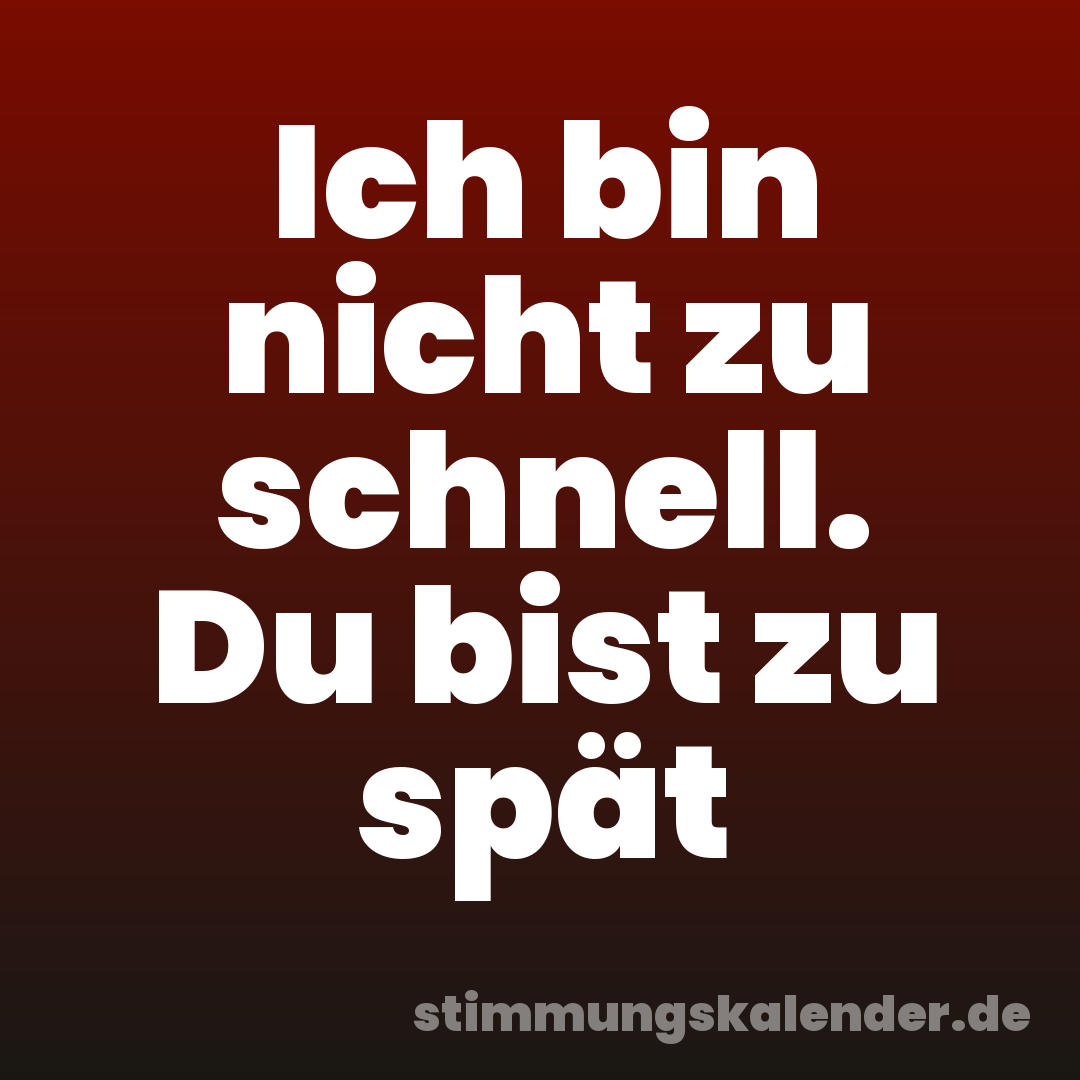 Ich bin nicht zu schnell. Du bist zu spät