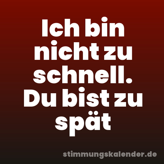 Ich bin nicht zu schnell. Du bist zu spät