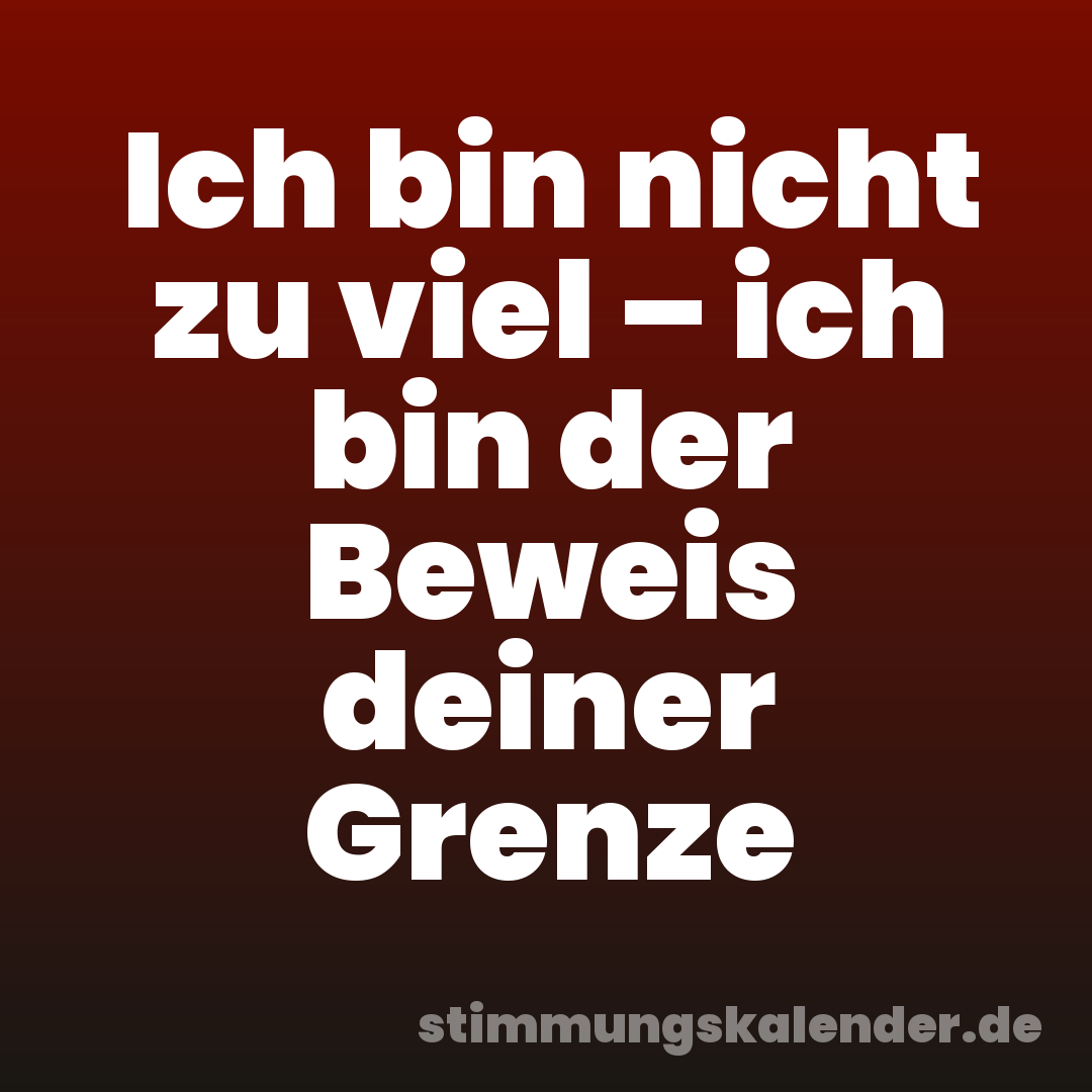 Ich bin nicht zu viel – ich bin der Beweis deiner Grenze