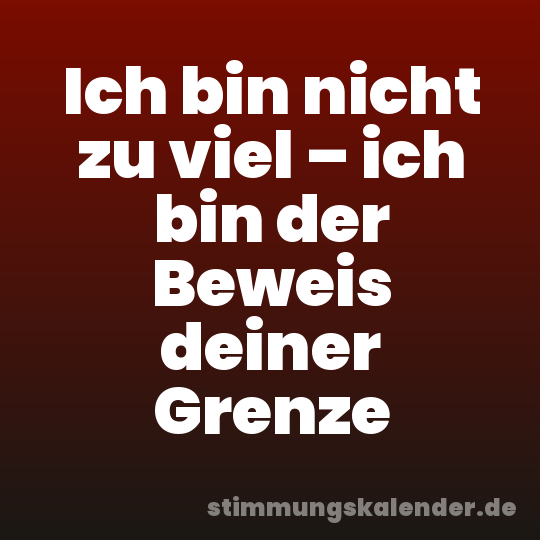 Ich bin nicht zu viel – ich bin der Beweis deiner Grenze