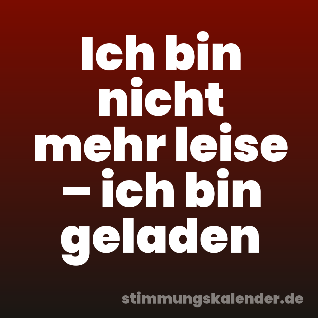 Ich bin nicht mehr leise – ich bin geladen