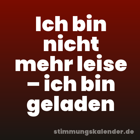 Ich bin nicht mehr leise – ich bin geladen