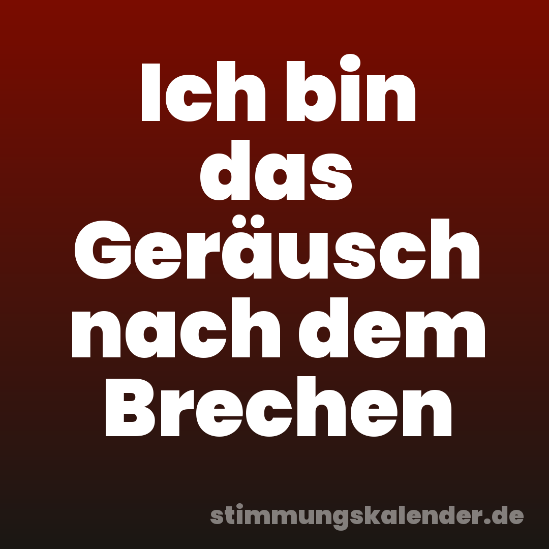 Ich bin das Geräusch nach dem Brechen