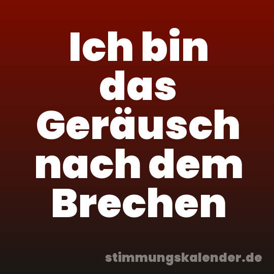 Ich bin das Geräusch nach dem Brechen