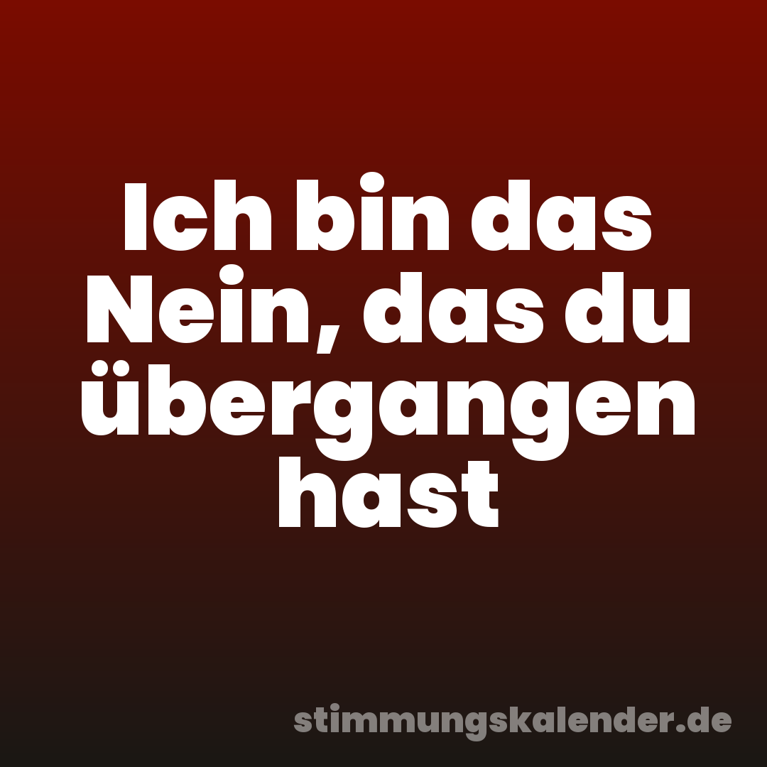 Ich bin das Nein, das du übergangen hast