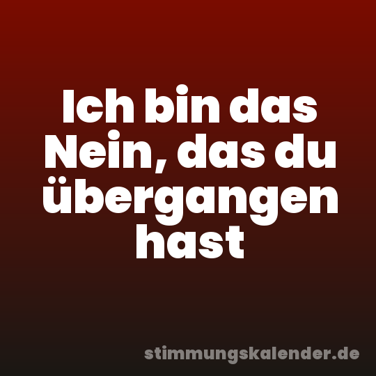 Ich bin das Nein, das du übergangen hast