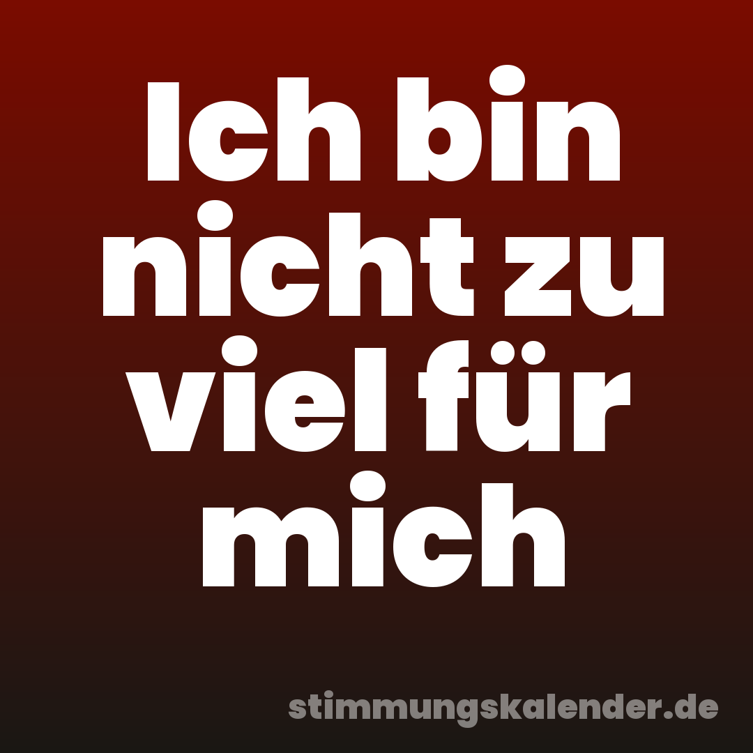 Ich bin nicht zu viel für mich