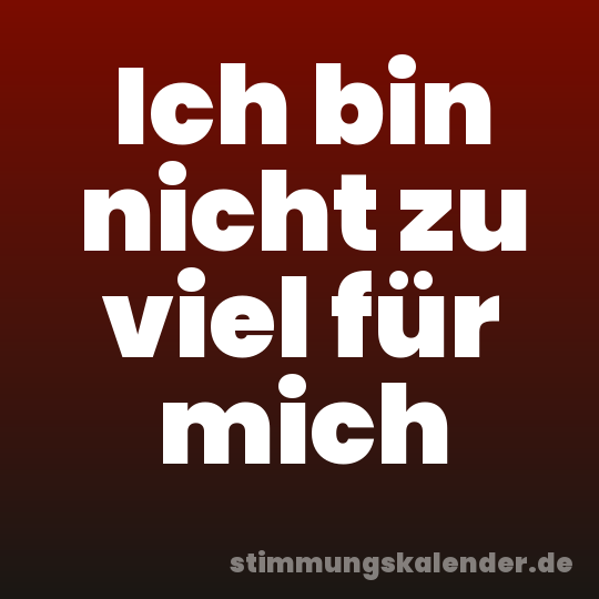 Ich bin nicht zu viel für mich