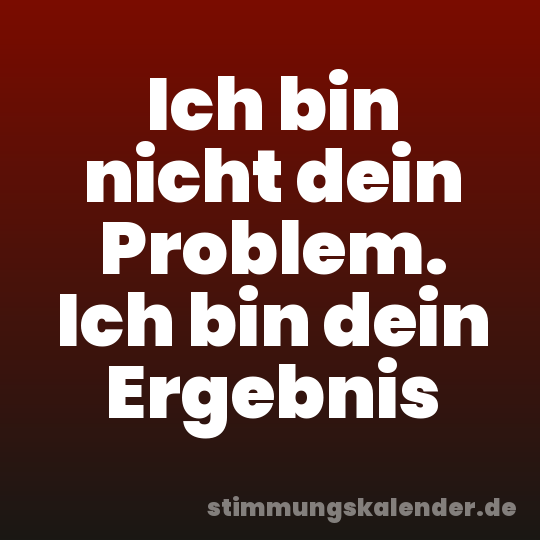 Ich bin nicht dein Problem. Ich bin dein Ergebnis