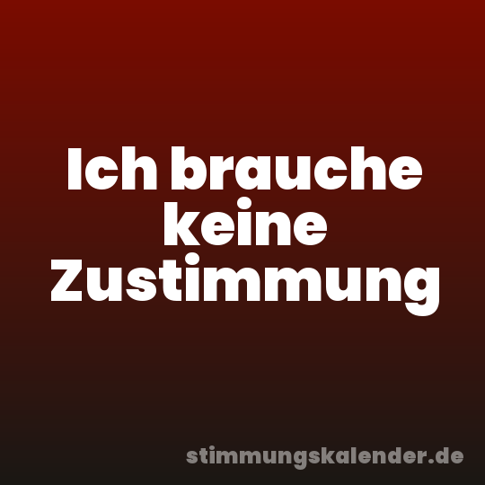 Ich brauche keine Zustimmung