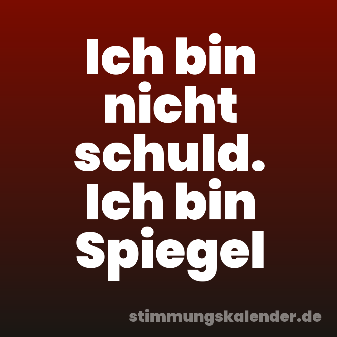 Ich bin nicht schuld. Ich bin Spiegel