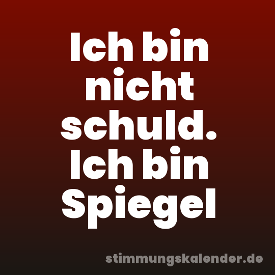 Ich bin nicht schuld. Ich bin Spiegel