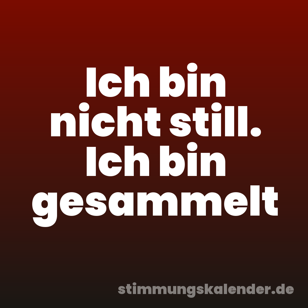 Ich bin nicht still. Ich bin gesammelt