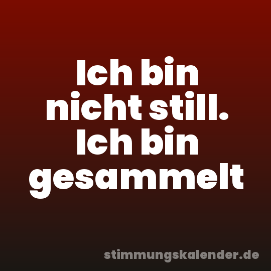Ich bin nicht still. Ich bin gesammelt