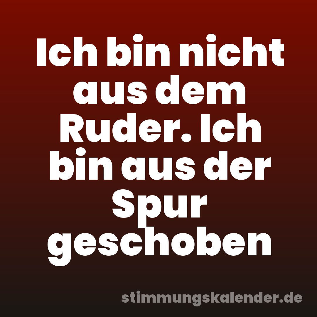 Ich bin nicht aus dem Ruder. Ich bin aus der Spur geschoben