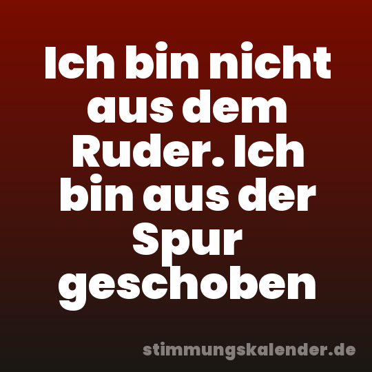 Ich bin nicht aus dem Ruder. Ich bin aus der Spur geschoben