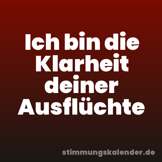 Ich bin die Klarheit deiner Ausflüchte