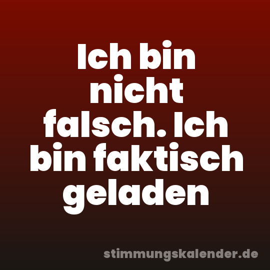 Ich bin nicht falsch. Ich bin faktisch geladen
