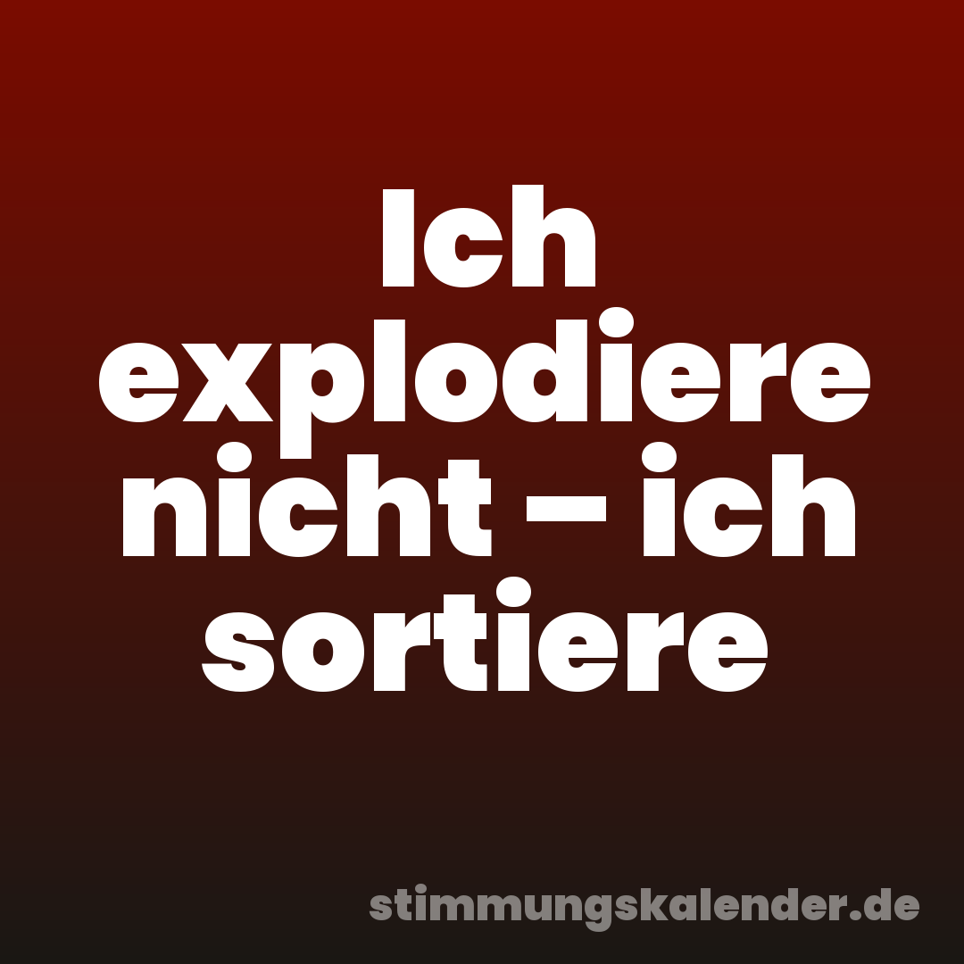 Ich explodiere nicht – ich sortiere