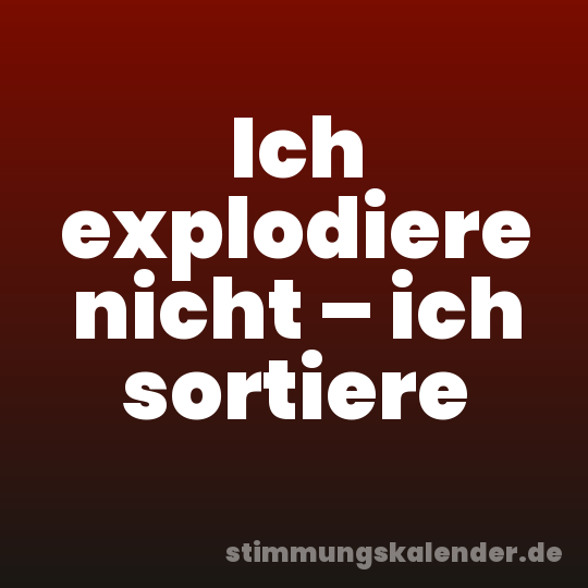 Ich explodiere nicht – ich sortiere