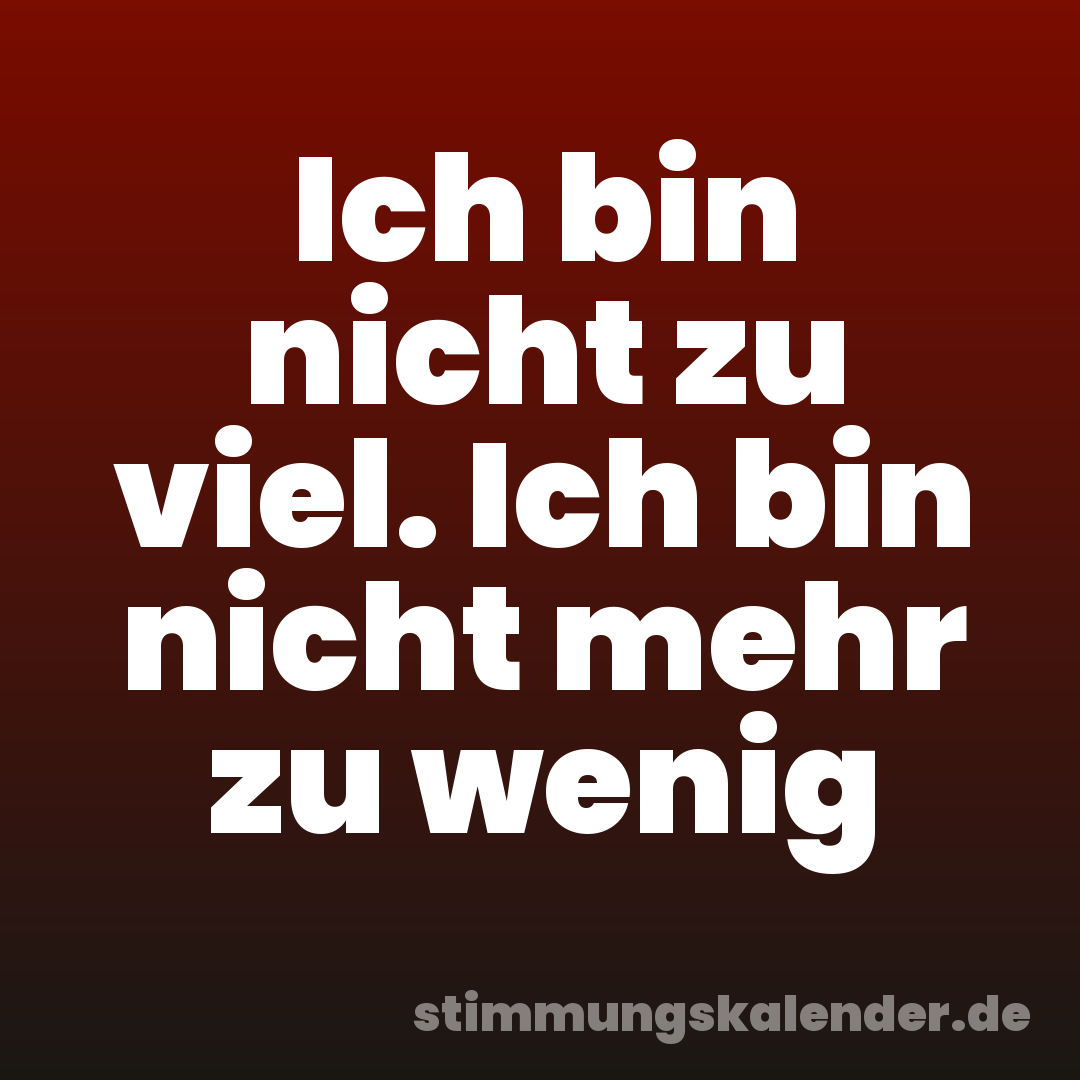 Ich bin nicht zu viel. Ich bin nicht mehr zu wenig