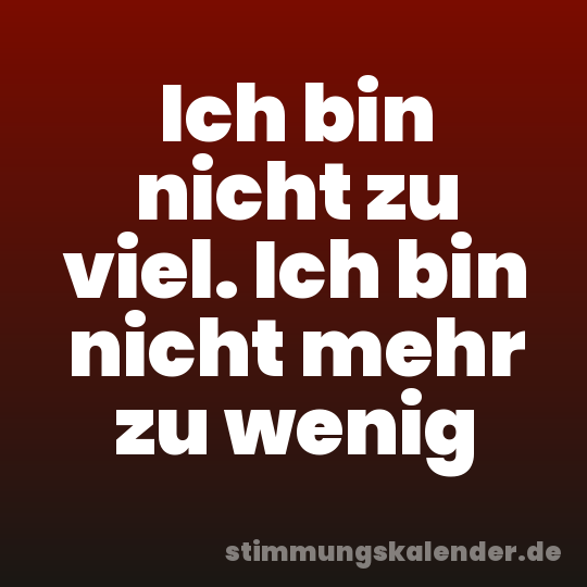 Ich bin nicht zu viel. Ich bin nicht mehr zu wenig