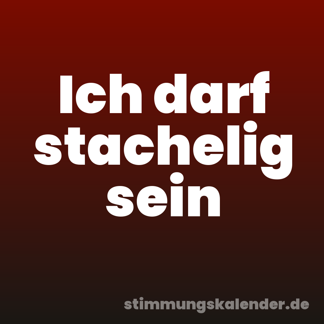 Ich darf stachelig sein