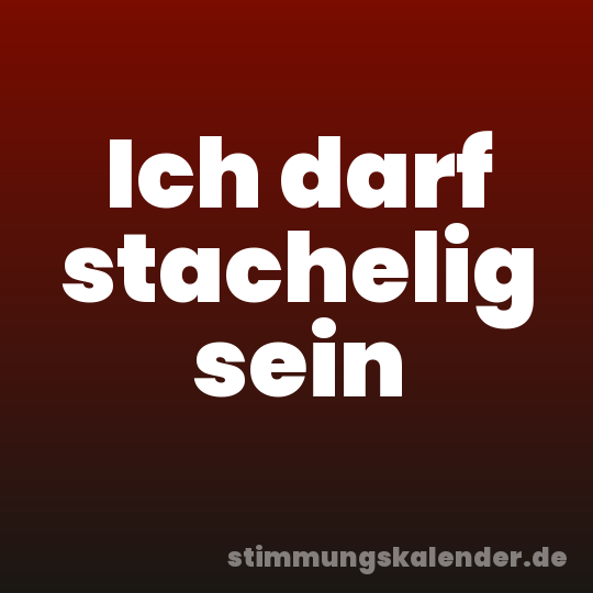 Ich darf stachelig sein