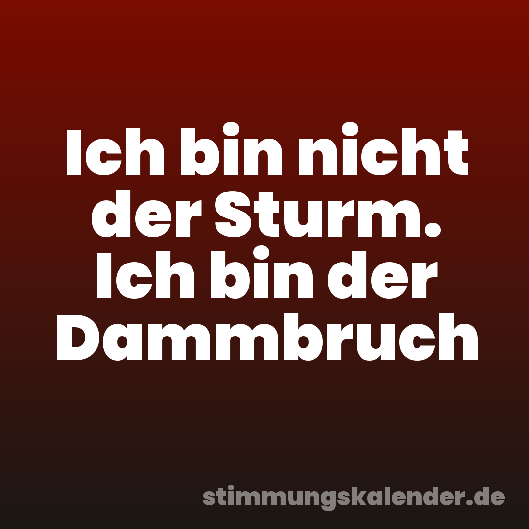 Ich bin nicht der Sturm. Ich bin der Dammbruch