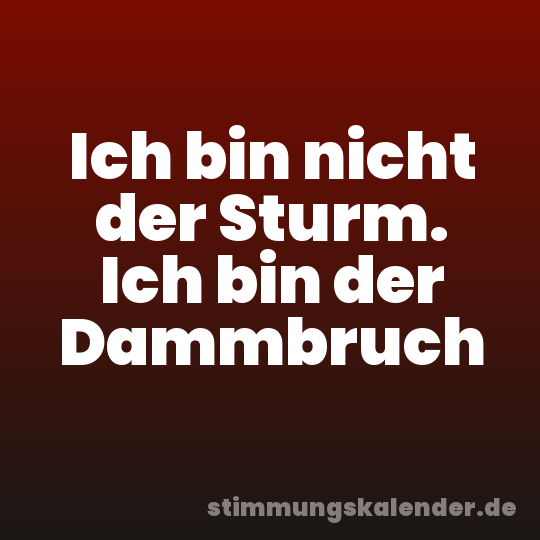 Ich bin nicht der Sturm. Ich bin der Dammbruch