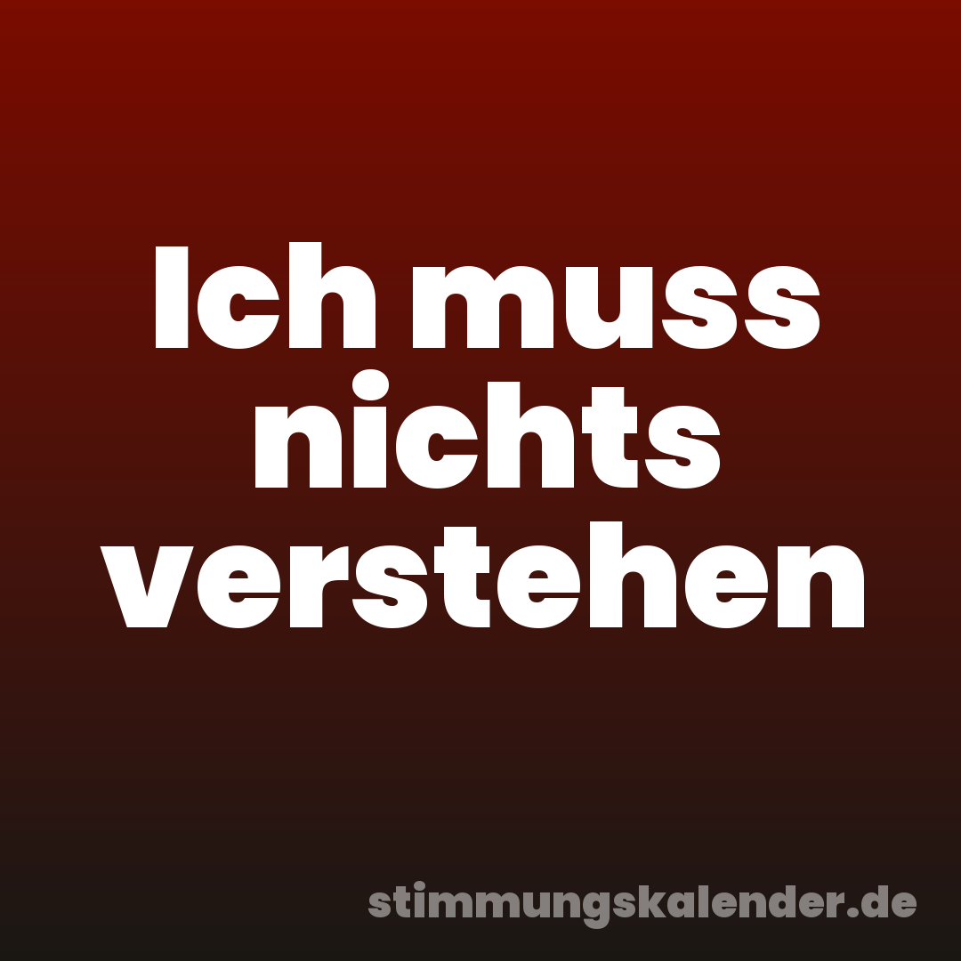 Ich muss nichts verstehen