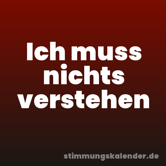 Ich muss nichts verstehen