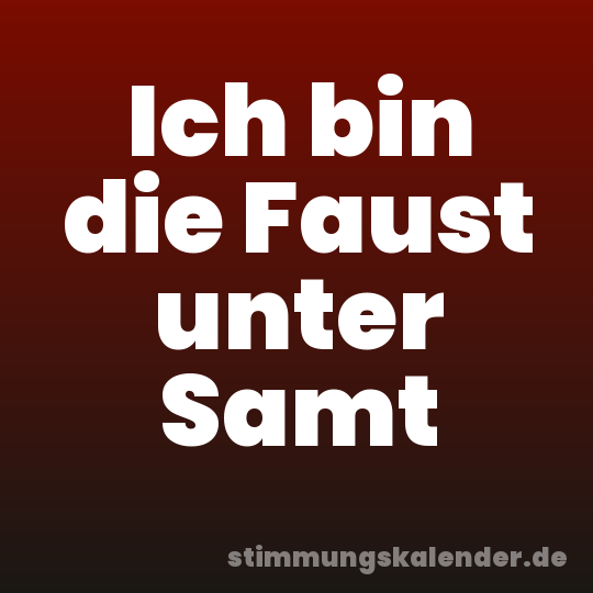 Ich bin die Faust unter Samt