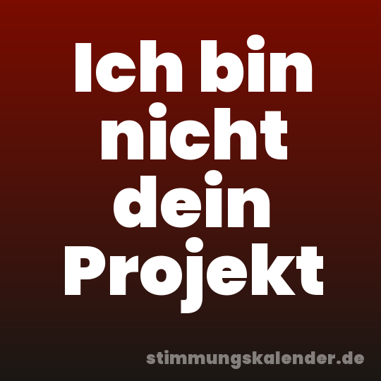 Ich bin nicht dein Projekt