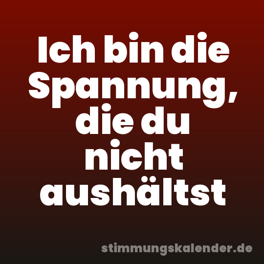 Ich bin die Spannung, die du nicht aushältst