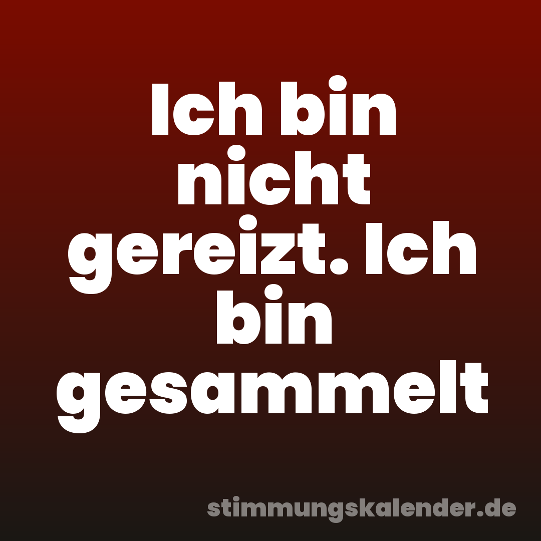 Ich bin nicht gereizt. Ich bin gesammelt
