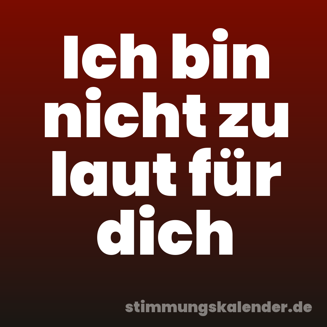 Ich bin nicht zu laut für dich