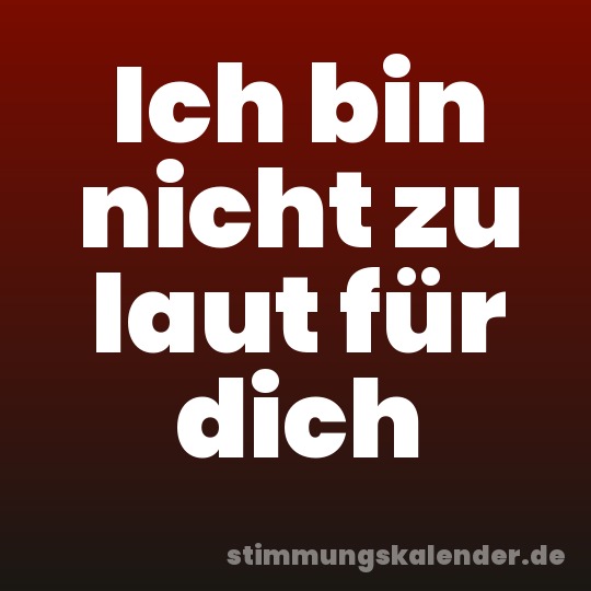 Ich bin nicht zu laut für dich