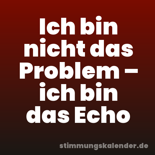 Ich bin nicht das Problem – ich bin das Echo